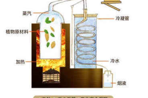 悦刻那里可以批发？